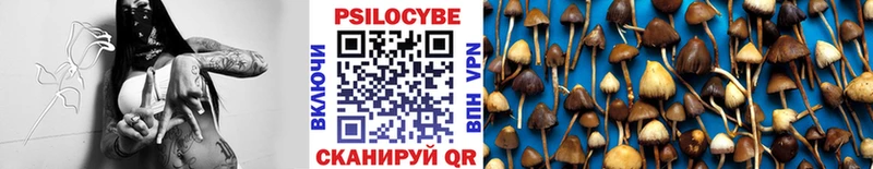 магазин    Балашиха  Галлюциногенные грибы мухоморы 