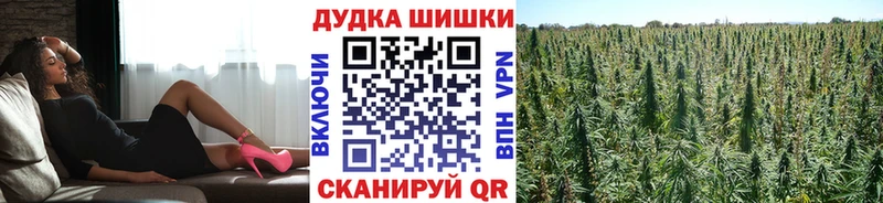 KRAKEN онион  Балашиха  Бошки Шишки индика 